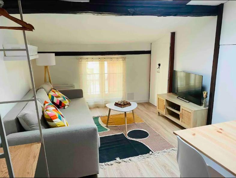 Le Grand Appartement Castres (Tarn)
